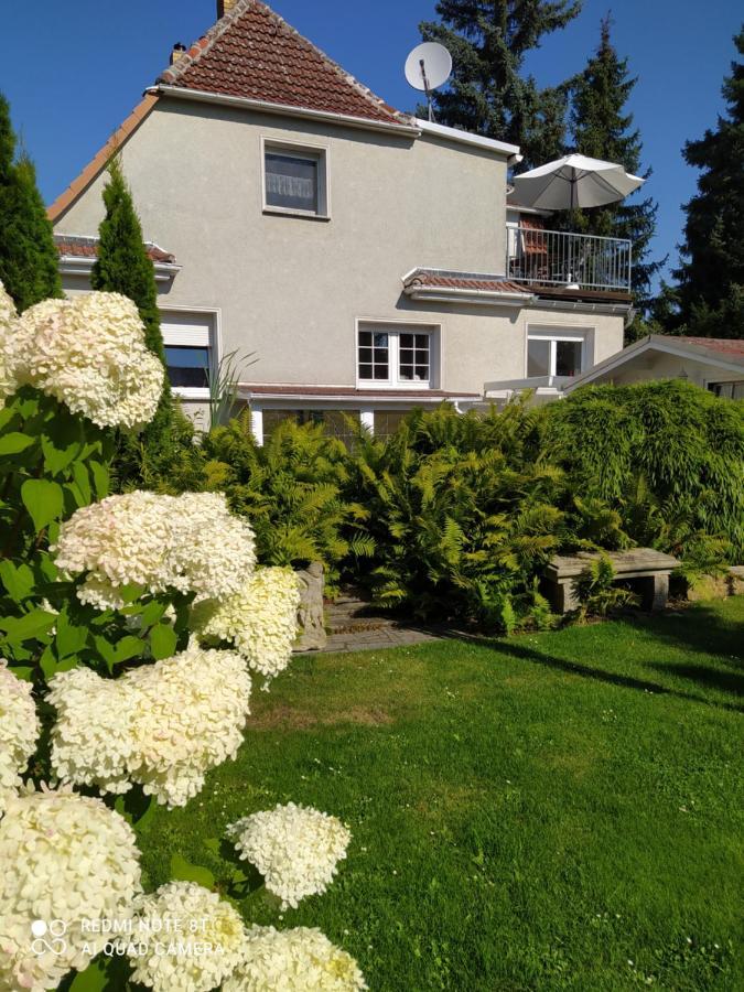 Kreativ Ferienwohnung Domizil Der Sinne Bad Liebenwerda Exterior photo